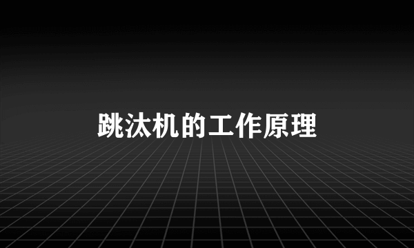 跳汰机的工作原理
