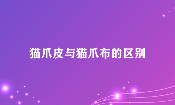 猫爪皮与猫爪布的区别