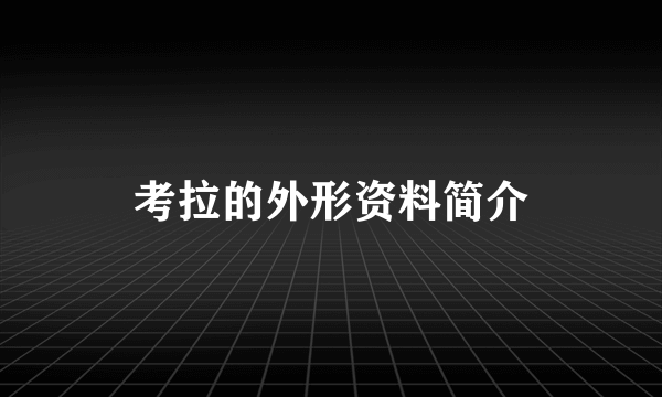 考拉的外形资料简介
