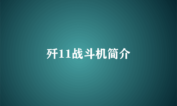 歼11战斗机简介