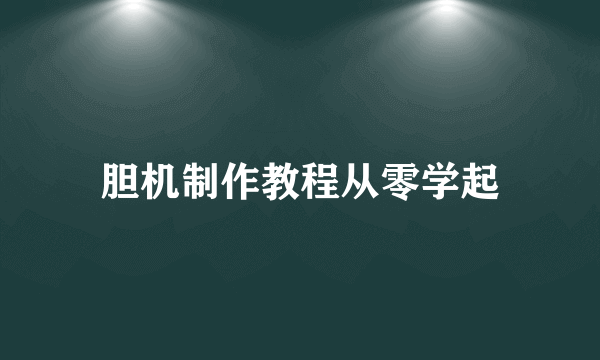 胆机制作教程从零学起