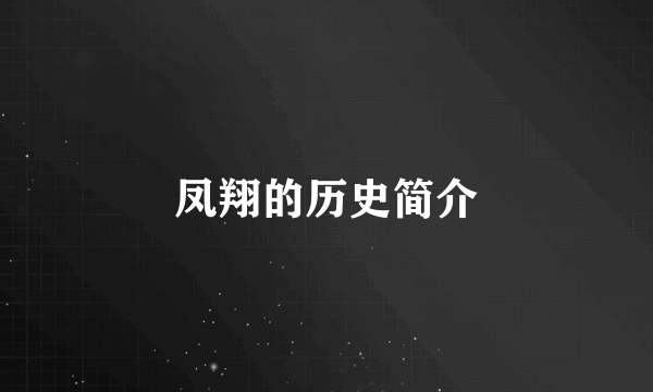 凤翔的历史简介