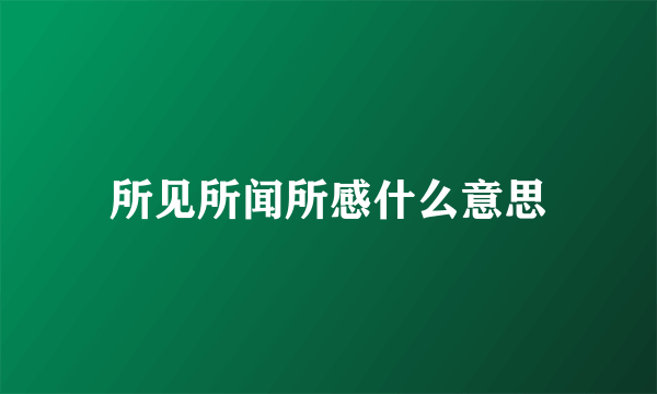 所见所闻所感什么意思