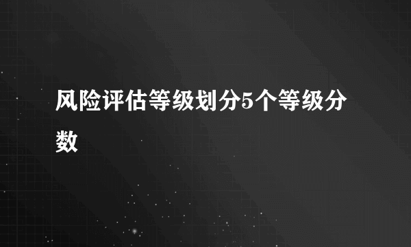 风险评估等级划分5个等级分数