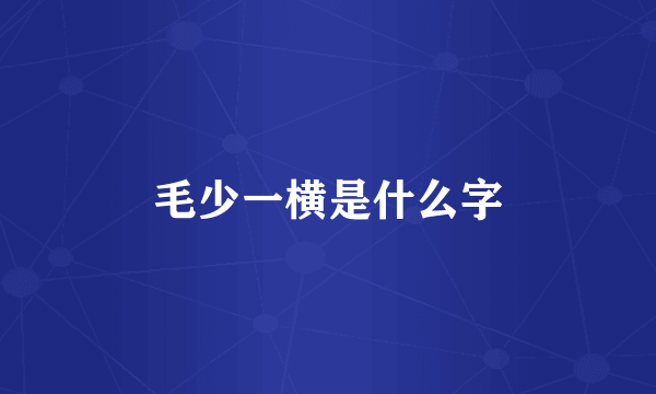 毛少一横是什么字