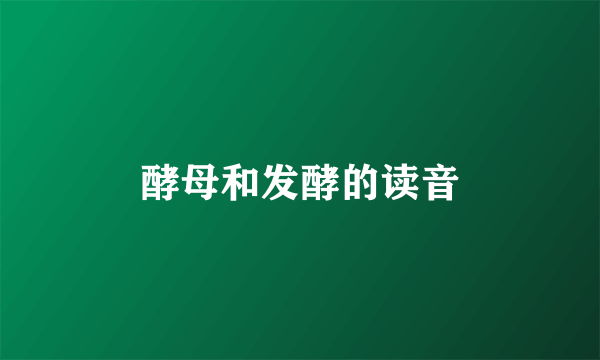 酵母和发酵的读音