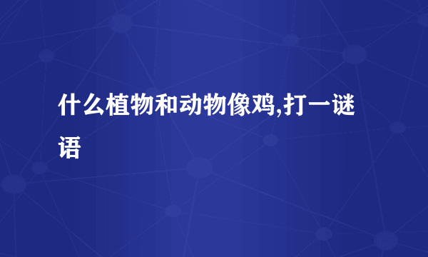 什么植物和动物像鸡,打一谜语