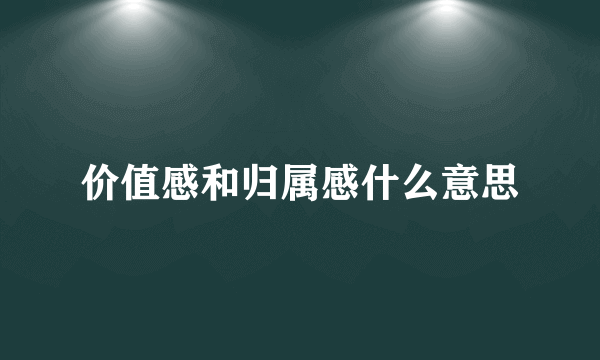 价值感和归属感什么意思