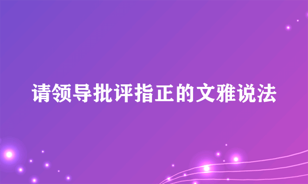 请领导批评指正的文雅说法