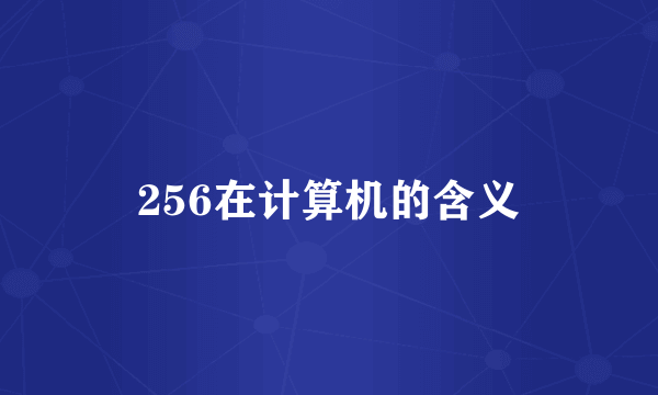 256在计算机的含义