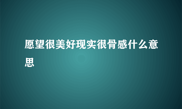 愿望很美好现实很骨感什么意思