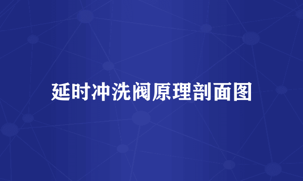 延时冲洗阀原理剖面图