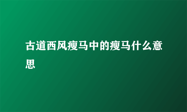 古道西风瘦马中的瘦马什么意思