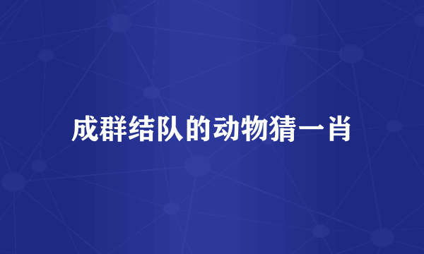 成群结队的动物猜一肖