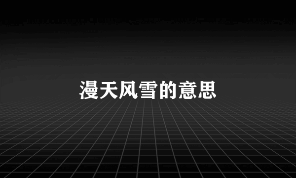 漫天风雪的意思