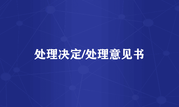处理决定/处理意见书