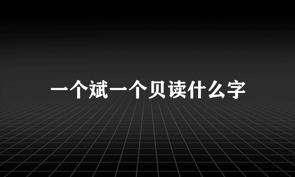 一个斌一个贝读什么字
