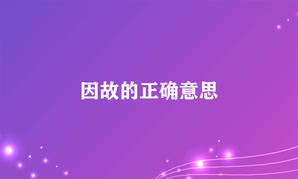 因故的正确意思