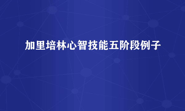 加里培林心智技能五阶段例子