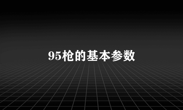 95枪的基本参数