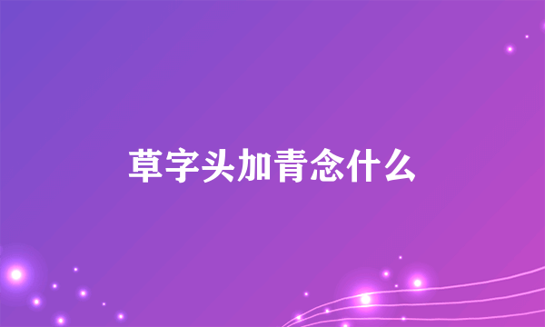 草字头加青念什么