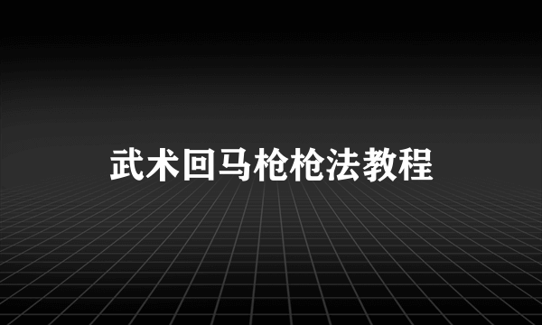 武术回马枪枪法教程