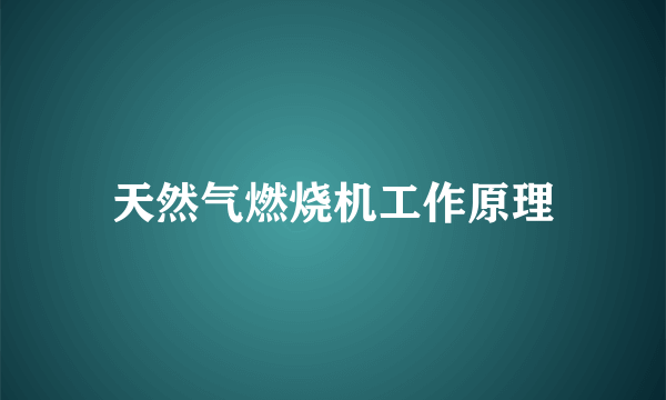 天然气燃烧机工作原理
