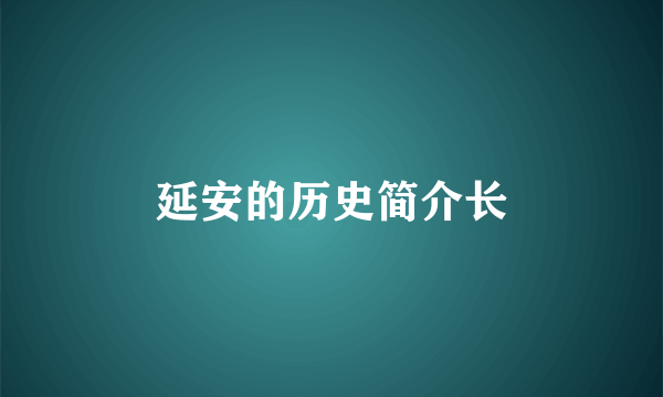 延安的历史简介长