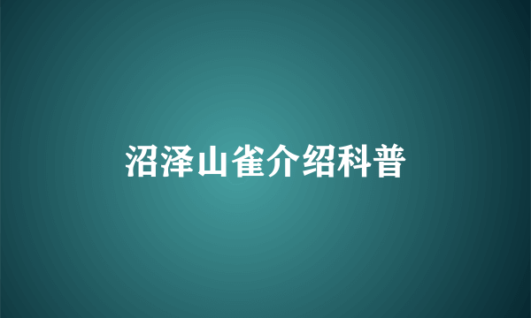 沼泽山雀介绍科普