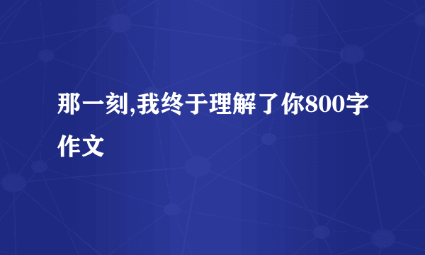 那一刻,我终于理解了你800字作文