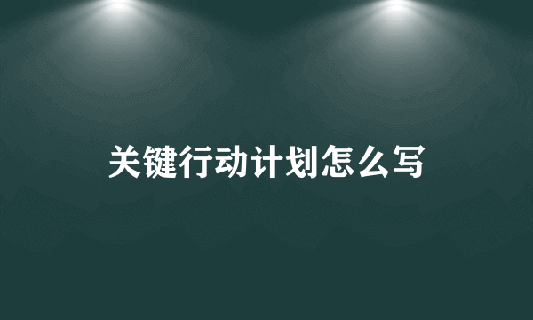 关键行动计划怎么写