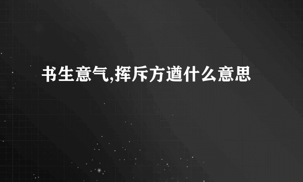 书生意气,挥斥方遒什么意思