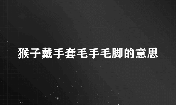 猴子戴手套毛手毛脚的意思