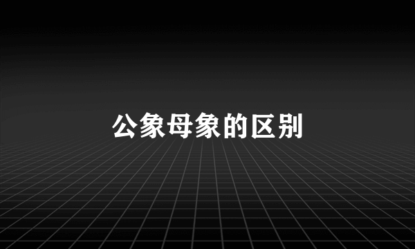 公象母象的区别