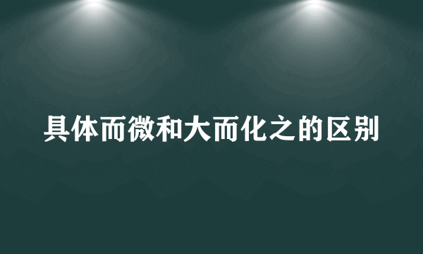 具体而微和大而化之的区别