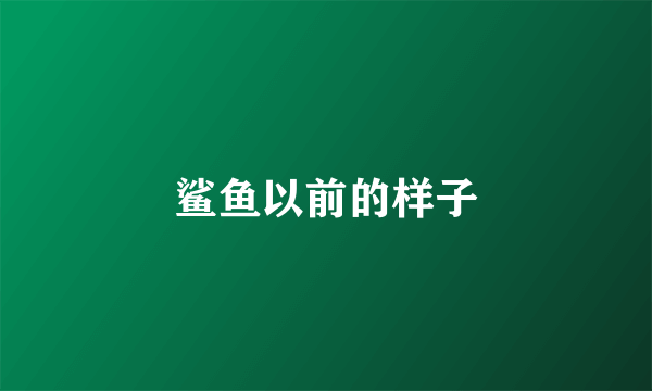 鲨鱼以前的样子