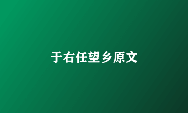 于右任望乡原文