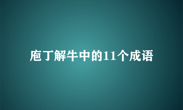 庖丁解牛中的11个成语