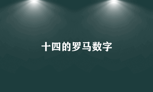 十四的罗马数字