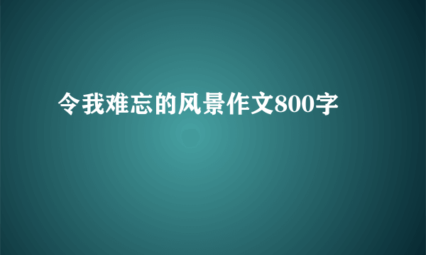 令我难忘的风景作文800字
