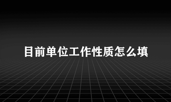 目前单位工作性质怎么填