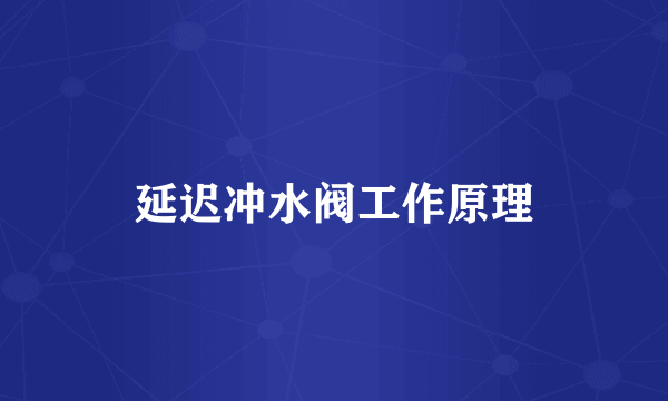 延迟冲水阀工作原理