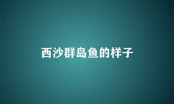 西沙群岛鱼的样子