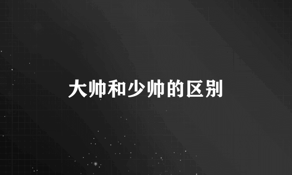 大帅和少帅的区别