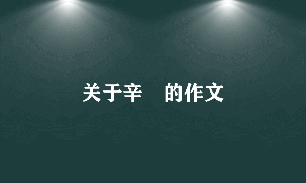 关于辛褔的作文