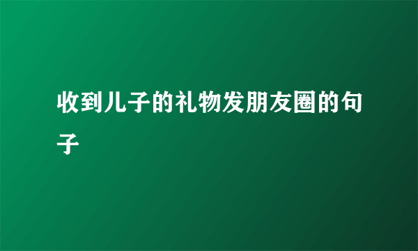 收到儿子的礼物发朋友圈的句子