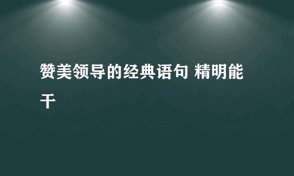 赞美领导的经典语句 精明能干