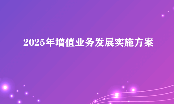 2025年增值业务发展实施方案