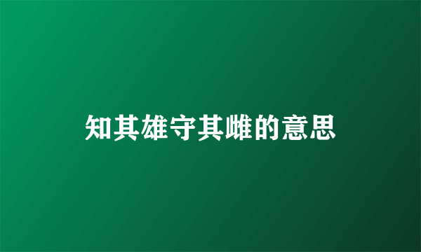 知其雄守其雌的意思