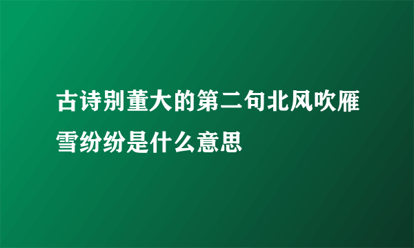 古诗别董大的第二句北风吹雁雪纷纷是什么意思